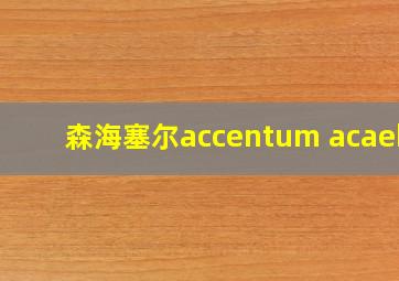 森海塞尔accentum acaebt